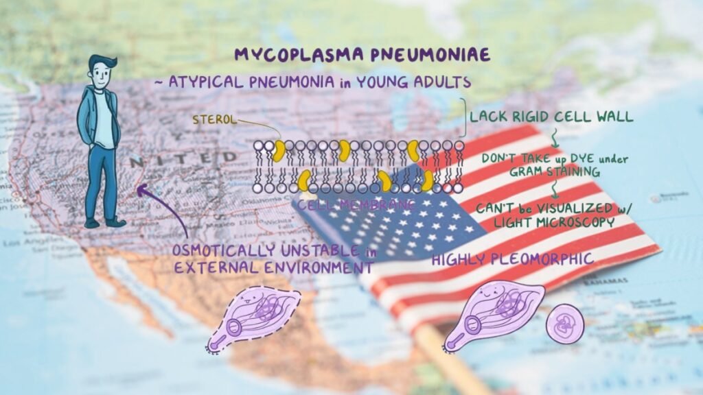 Mycoplasma pneumoniae